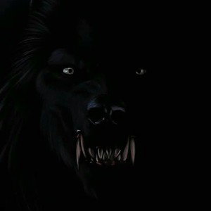 🐾🐺Hunter#7.