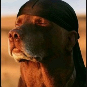 Dat skweeghee Mayne 