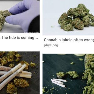 CANNABISTIC 