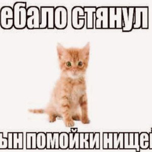 Минструальный сгусток