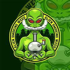 Tymbark fresh