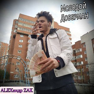 Молодой Доберман 
