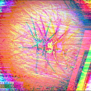 Arachnid 3 (Feat. SlickSavage)