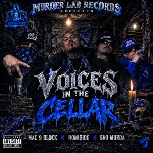 VOICES IN THE CELLAR