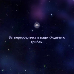  Пускай погода будет прекрасной 