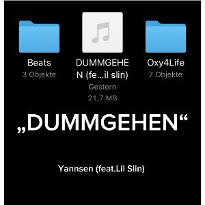DUMMGEHEN (feat. Lil slin)