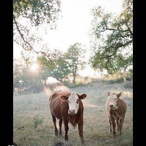 Country Rap