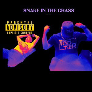 SNAKES IN THE GRASS