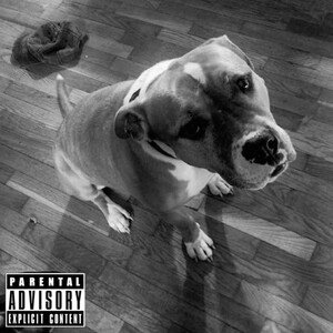 New Day ( ft. 2MUCHSAUCE and KY2ICY)