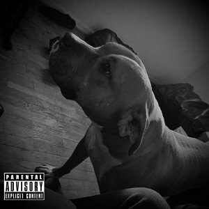 Dump (KY2ICY)