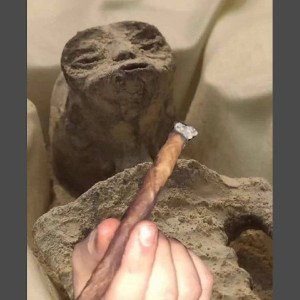 420 Freestyle 