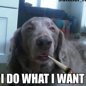 Waking & Baking