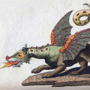 dragonkick