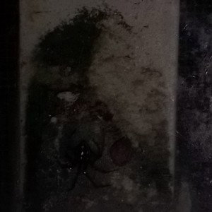 Nayga 'Trang (Dobro's Revenge)
