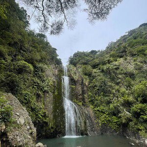 Pain