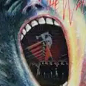 THE WALL MUST COME DOWN🩸🩸🩸