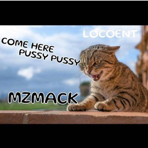 COME HERE PUSSY PUSSY 