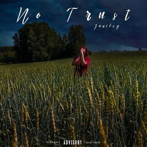 Junikey - No trust