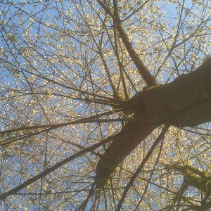 processed with me33,33%