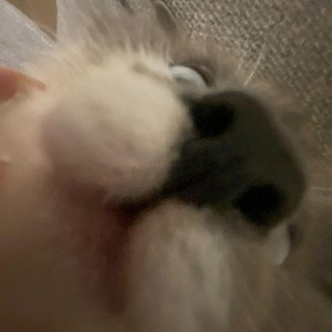 пеплом быть
