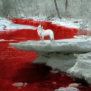 Январь