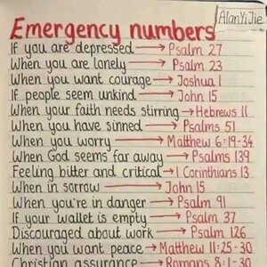lord knows 