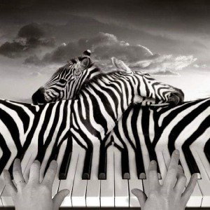 Mach Musik