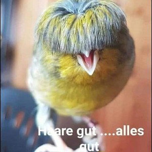 Besser als du denkst