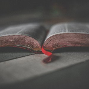 Bible 3