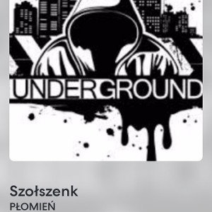 Szołszenk
