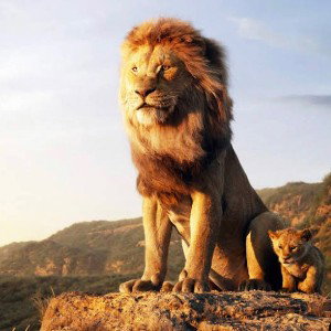 LION IN THE JUNGLE 