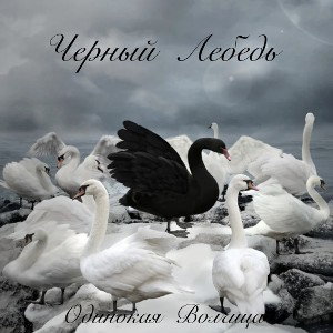 Черный лебедь( prod. darkxwayy)