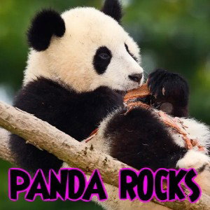 PANDA ROCKS BY S K E 
