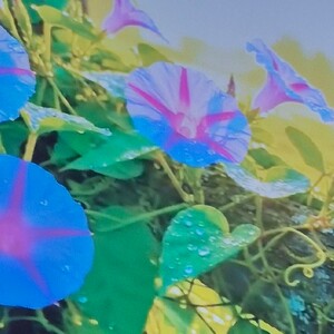 Might