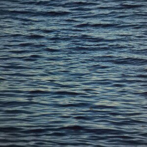 Blue Sea