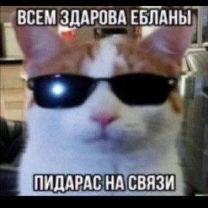 Мистер Пидорас