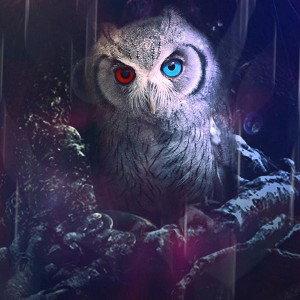 Equestrian_Darkness