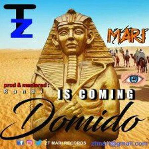 is coming domdo x Finnest erukuzanga