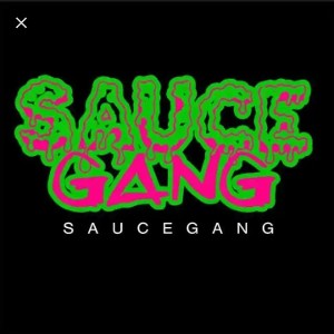   sauce gang remix🔥🔥🌶