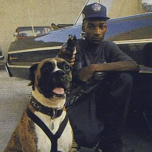 rapper