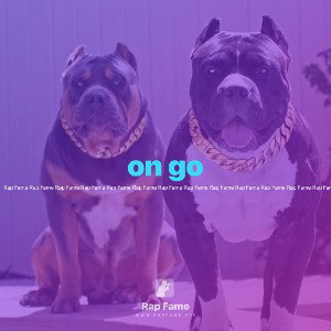 on go 