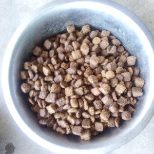 Dog Food