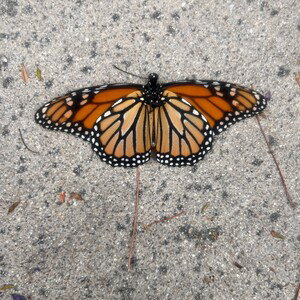 you love me by max static 