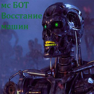 мс Бот—Новый хокаге