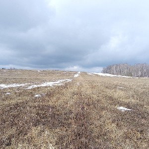 ДЕМКА