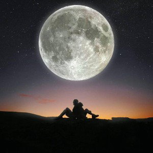  pashimoon