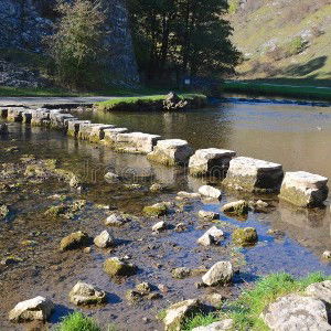 Stepping Stones 