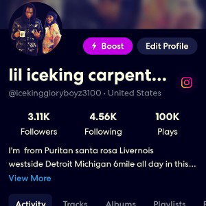 lil iceking carpenter - Glogb3100all my roots country gang Glogb3100Deadmanwalkingalive 2k23 2023-03-29 14_02