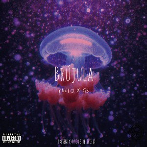  Brújula (Ynito X G3)