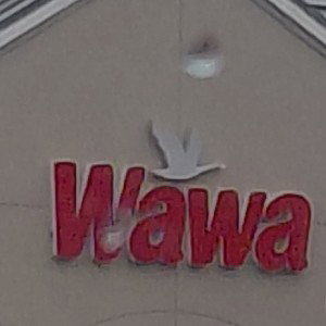 walkawaywitanything